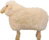 Small Sheep